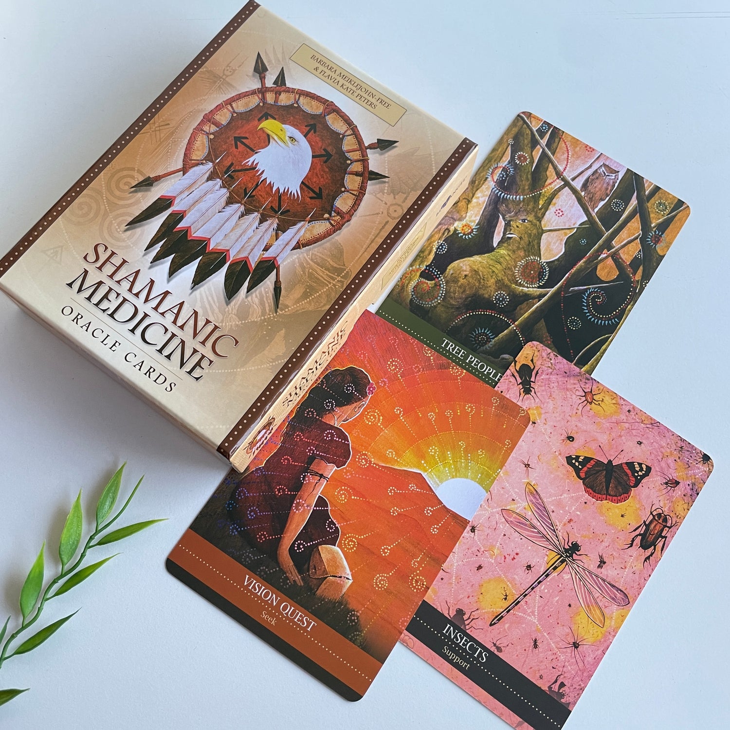 Shamanic Medicine Oracle Cards Barbara Meiklejohn-Free