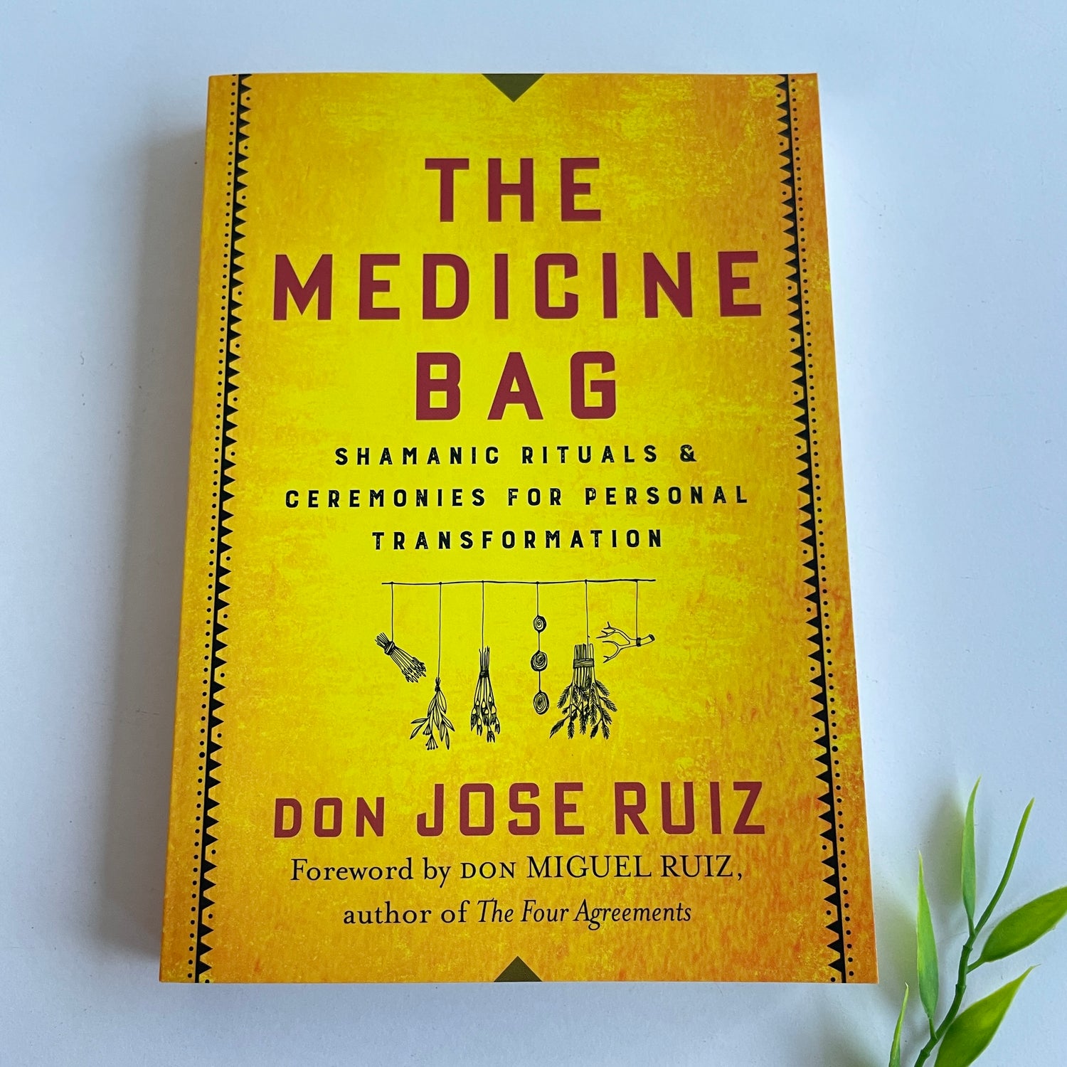 The Medicine Bag Don Ruiz