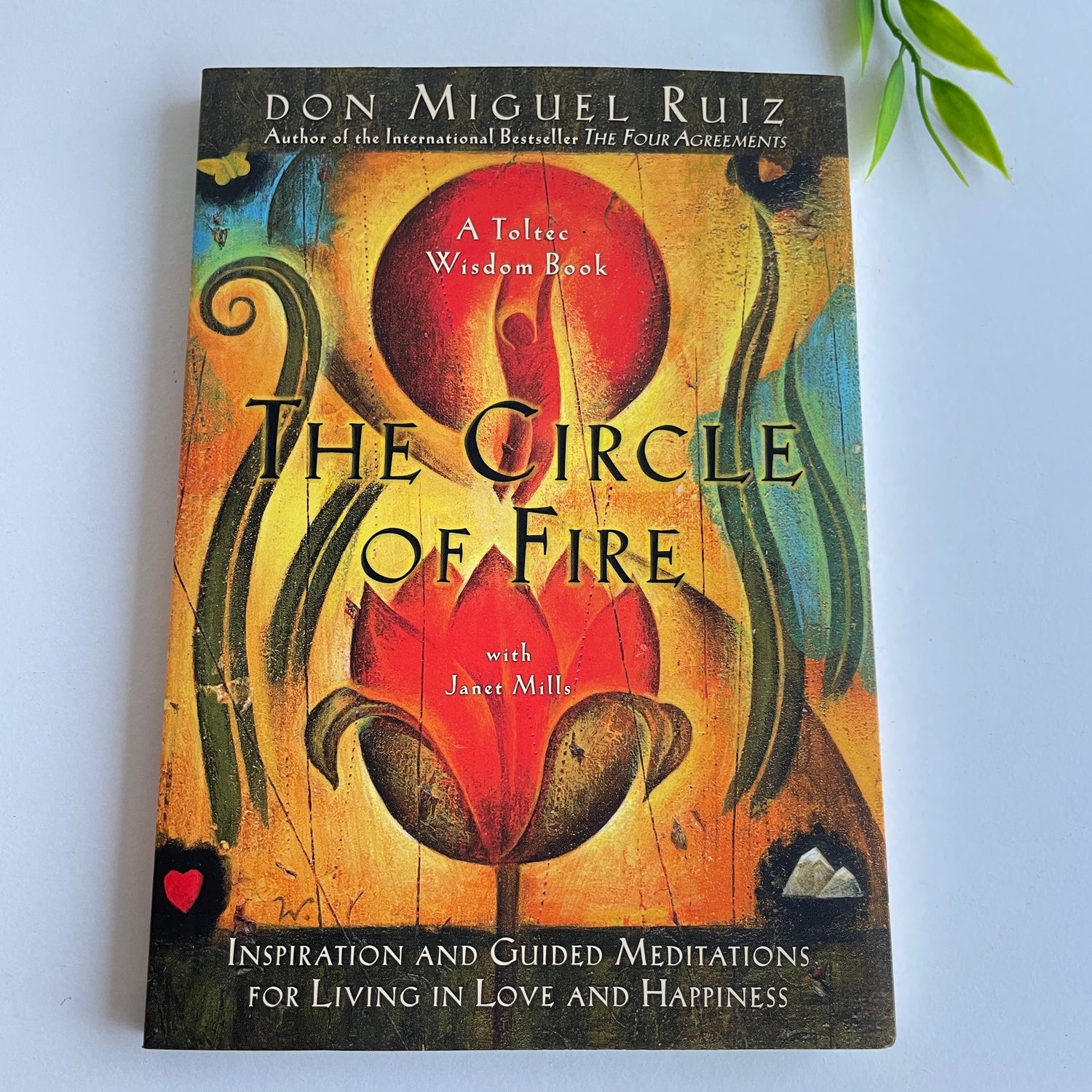 D. Ruiz The Circle of Fire