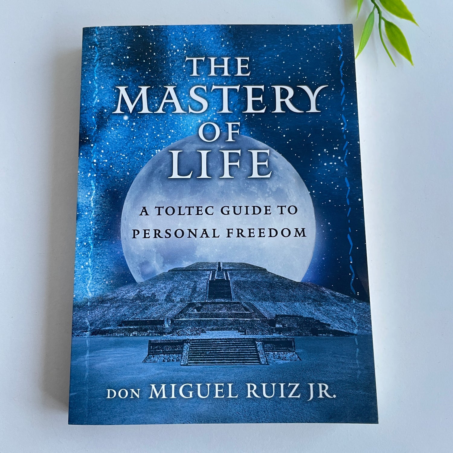 The Mastery Of Life Don Miguel Ruiz