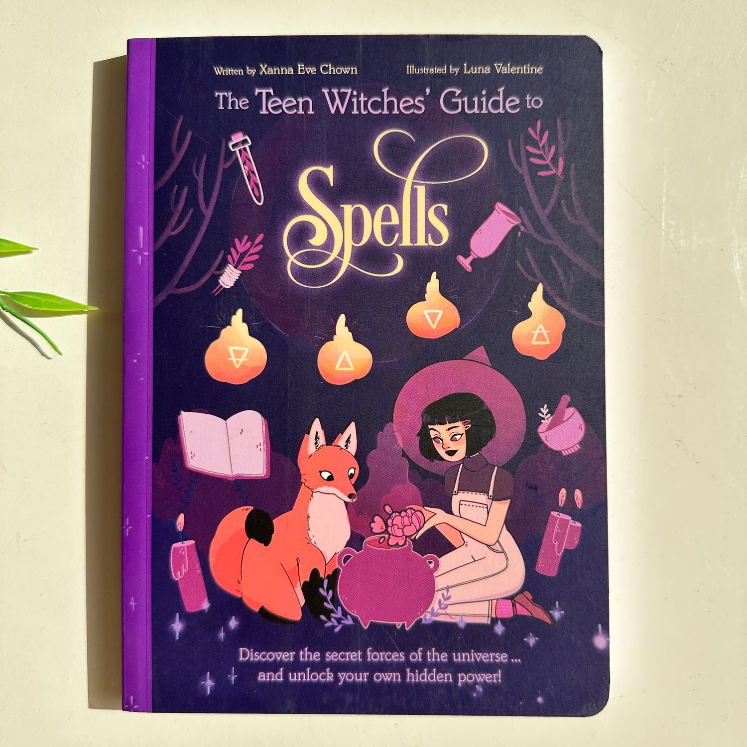 The Teen Witches Guide To Spells