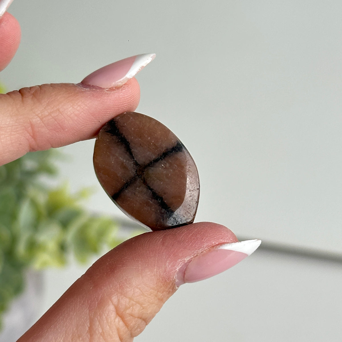 Chiastolite Pce 8.31g
