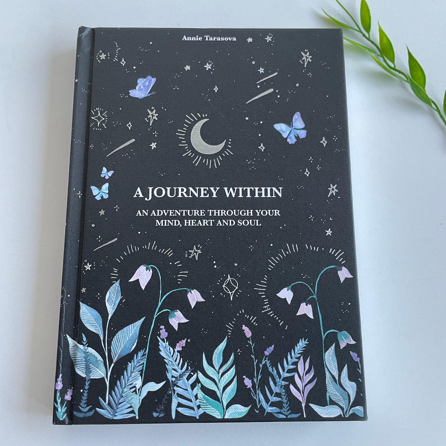 DreamyMoons A Journey Within Annie Tarasova