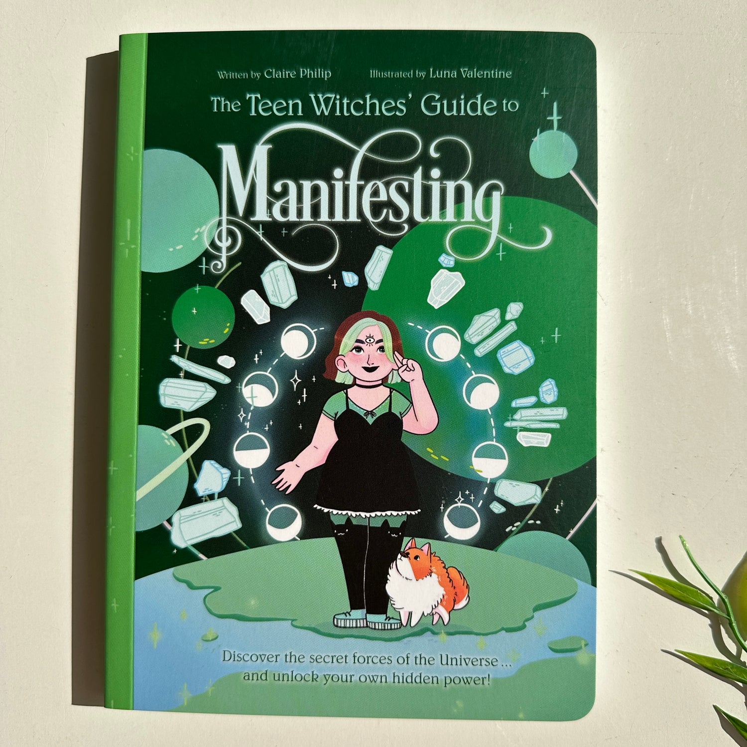 The Teen Witches Guide To Manifesting
