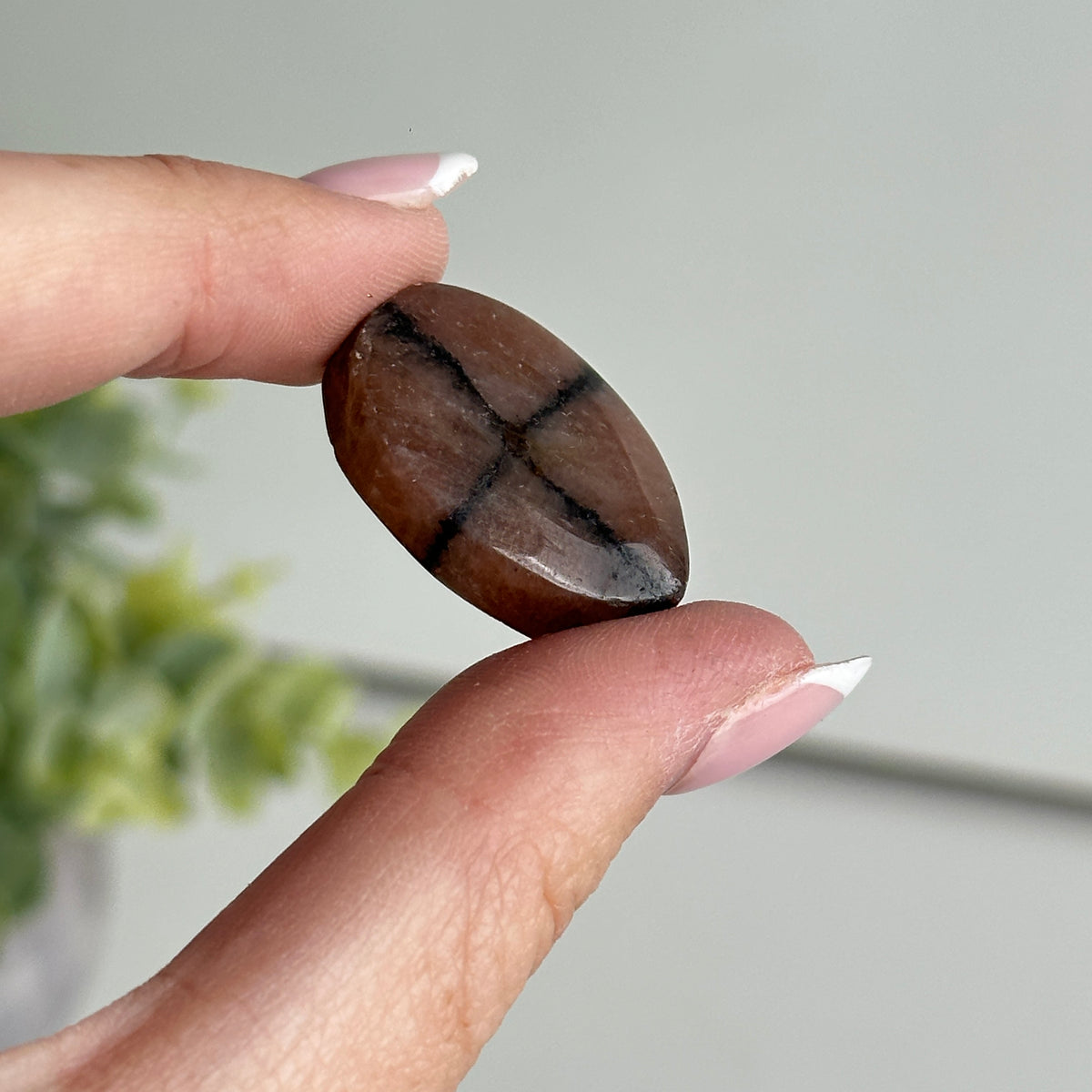 Chiastolite Pce 8.31g