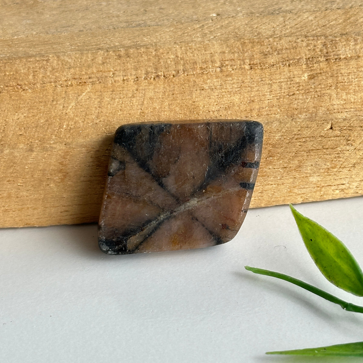 Chiastolite Pce 13.71g