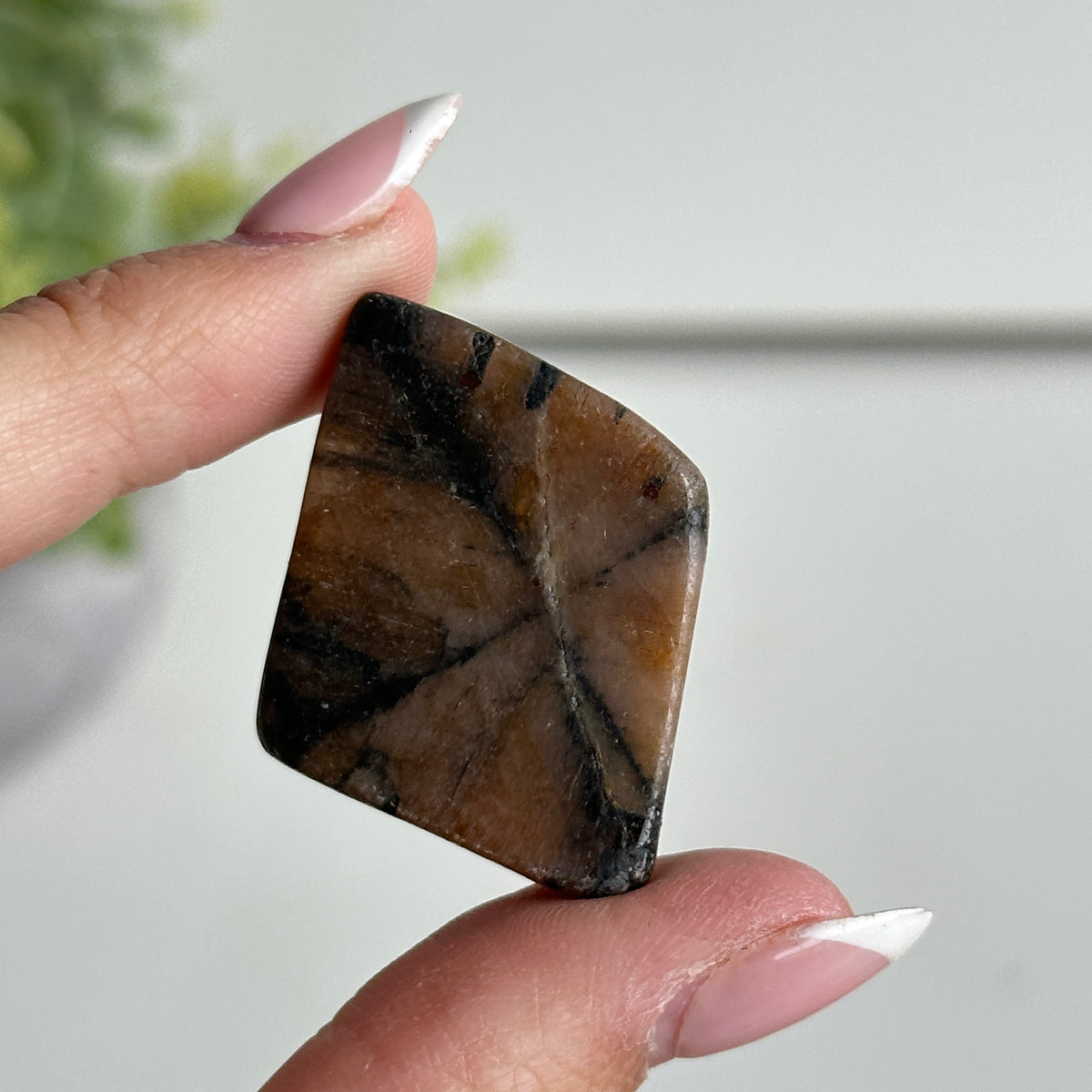 Chiastolite Pce 13.71g