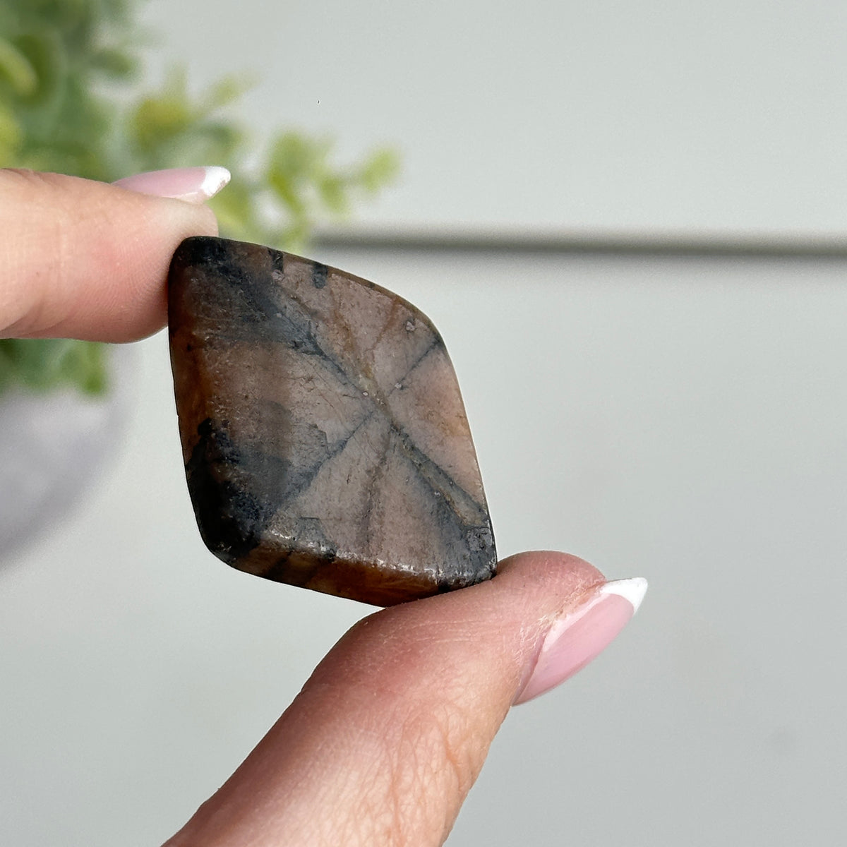 Chiastolite Pce 13.71g