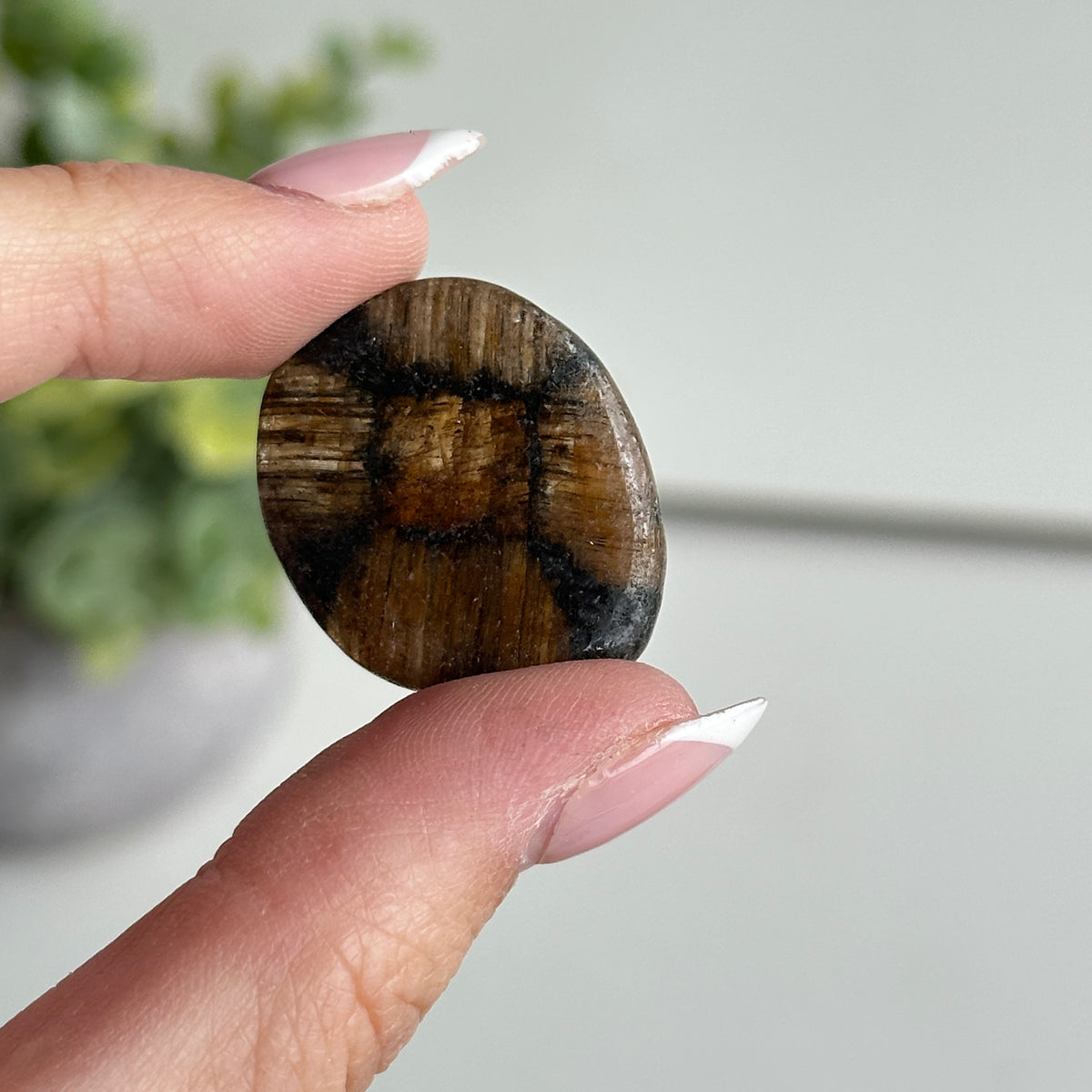 Chiastolite Pce 7.69g