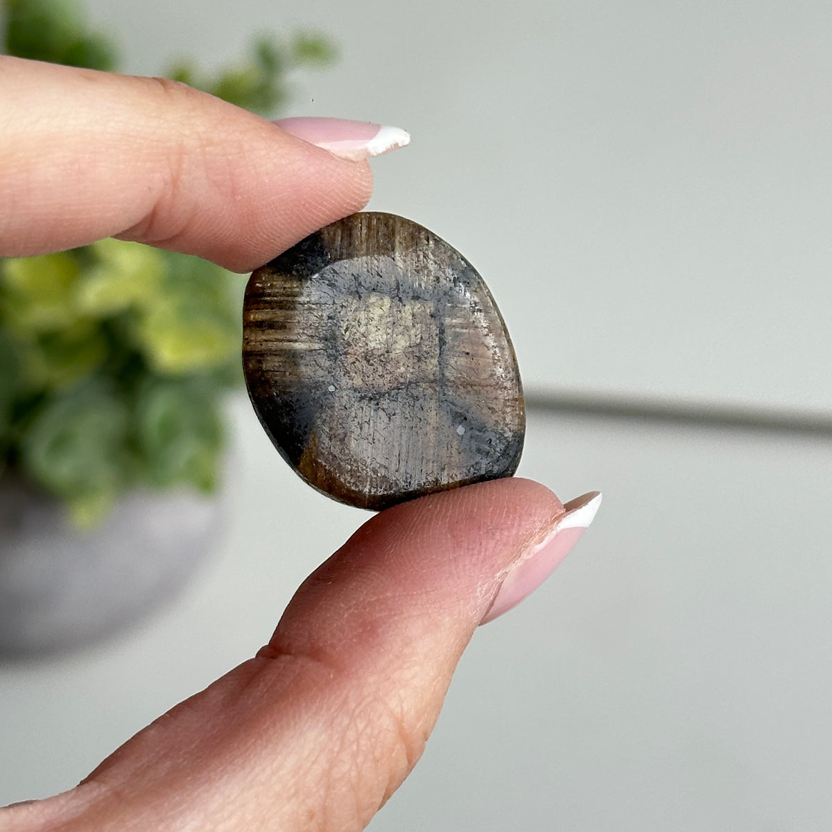Chiastolite Pce 7.69g
