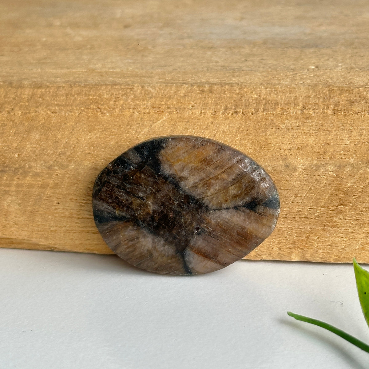 Chiastolite Pce 12.7g