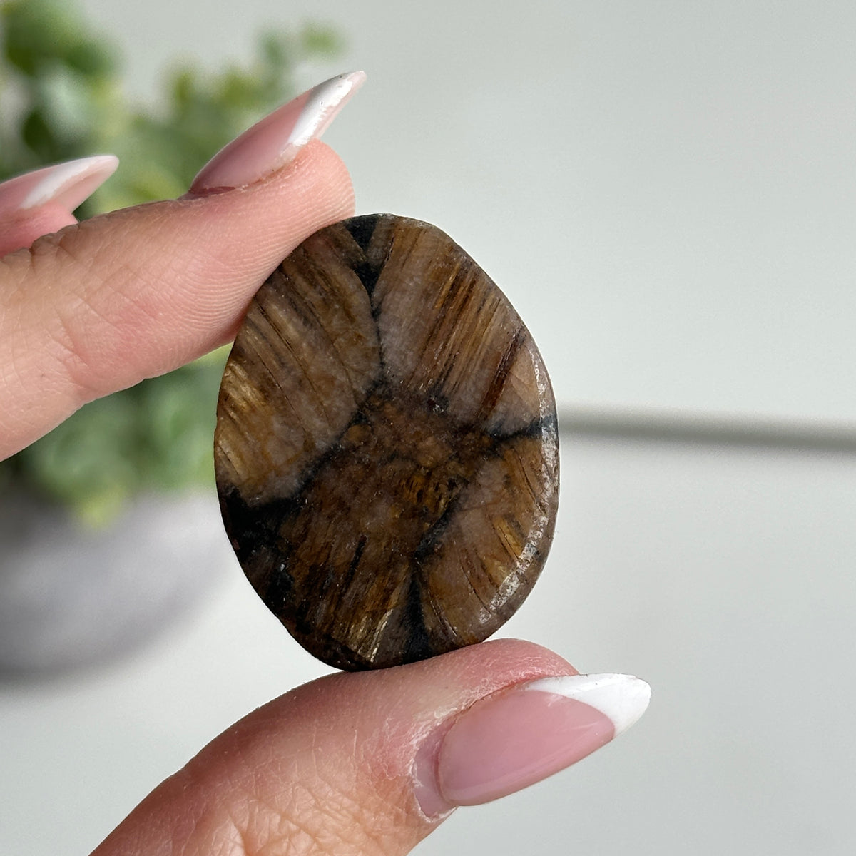 Chiastolite Pce 12.7g