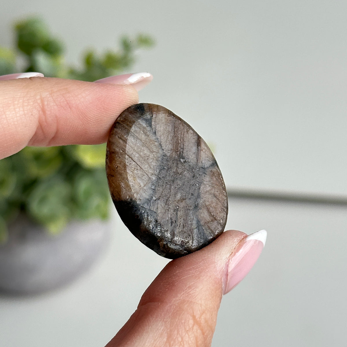 Chiastolite Pce 12.7g