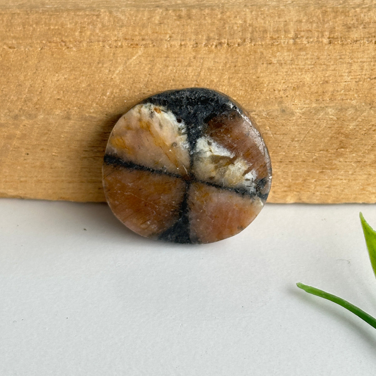 Chiastolite Pce 11.50g