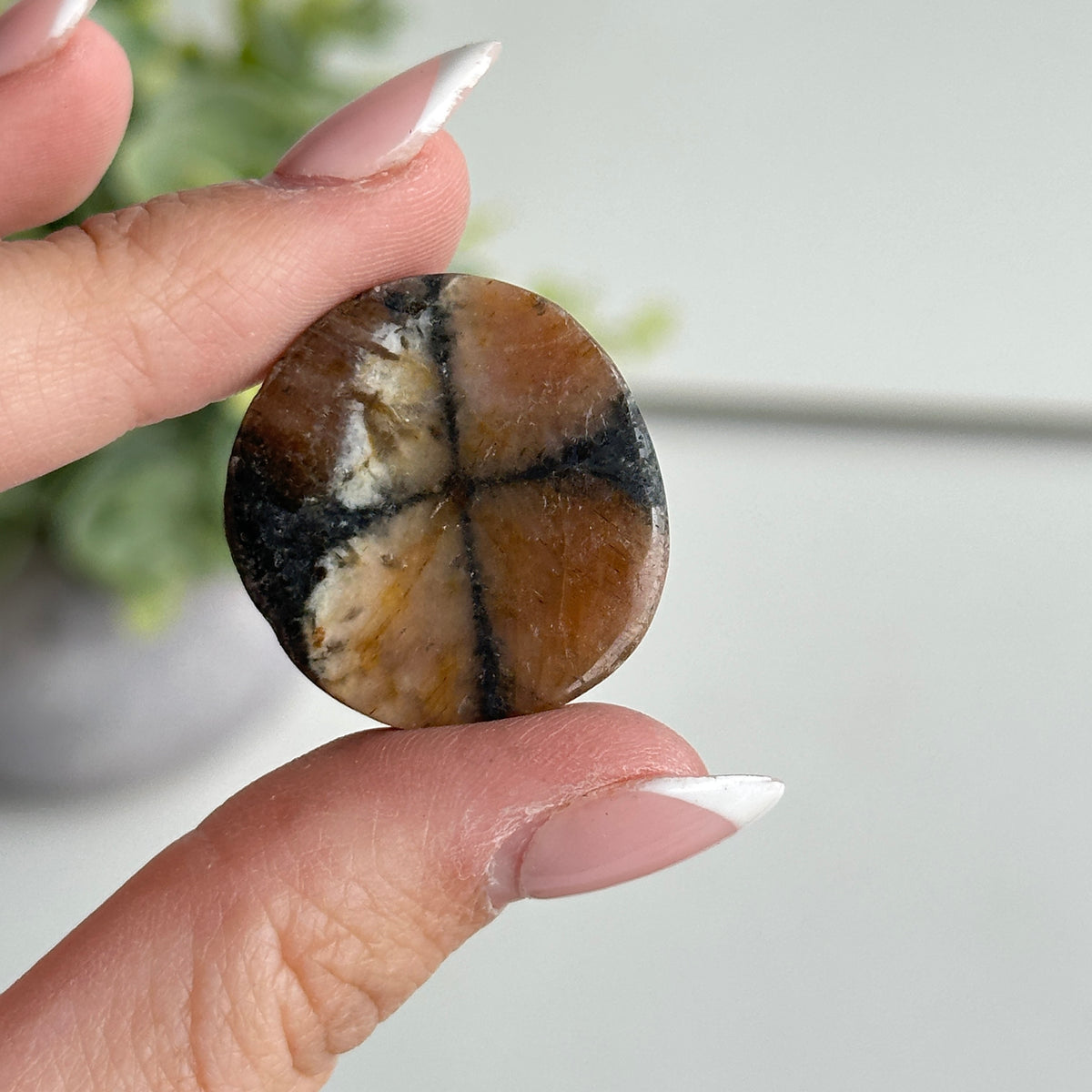 Chiastolite Pce 11.50g