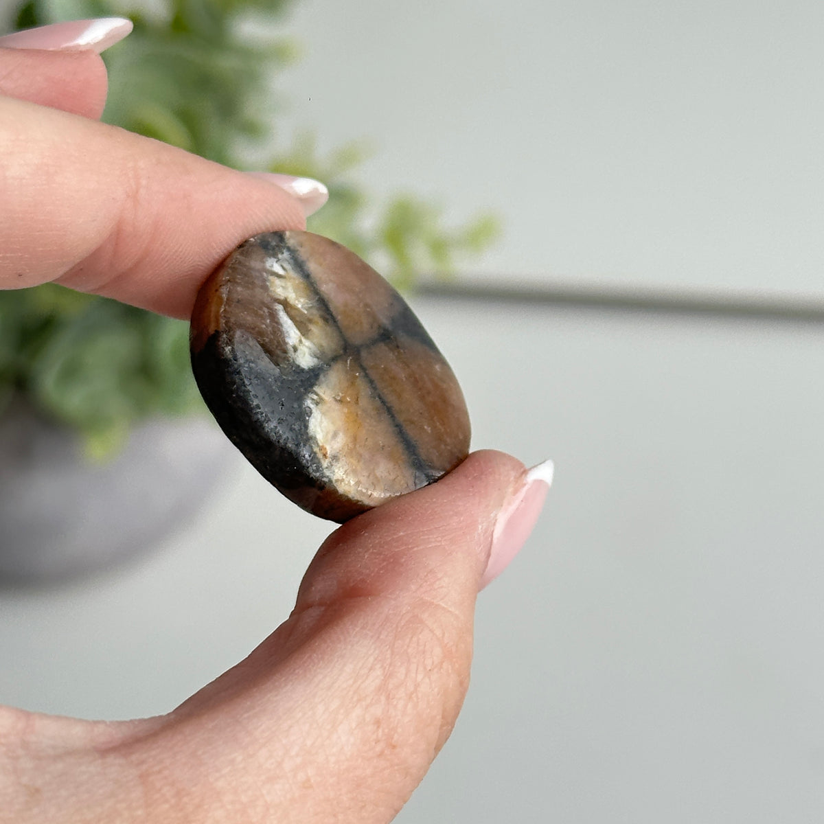 Chiastolite Pce 11.50g
