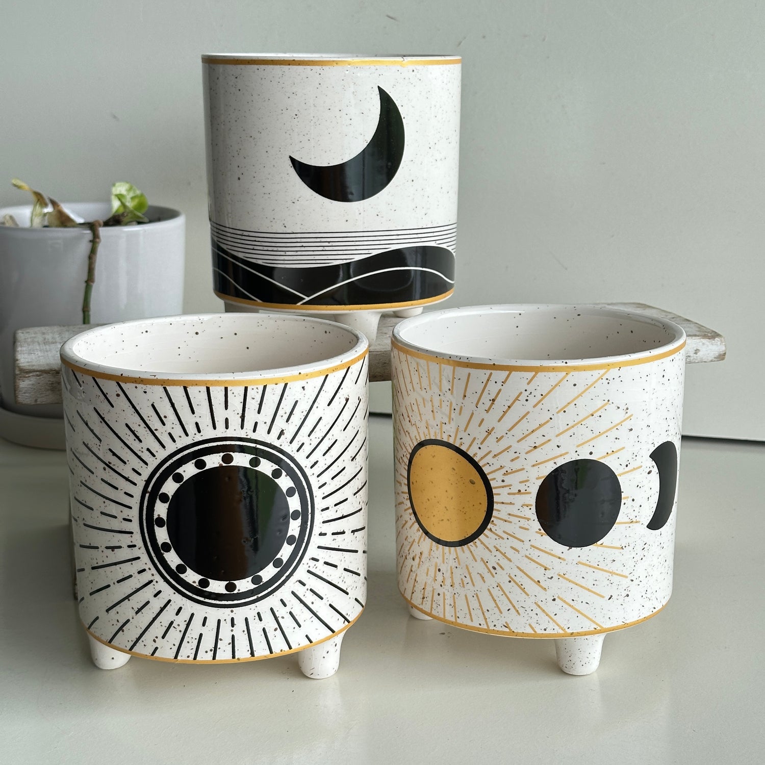Cream Round Pot POTWICCA