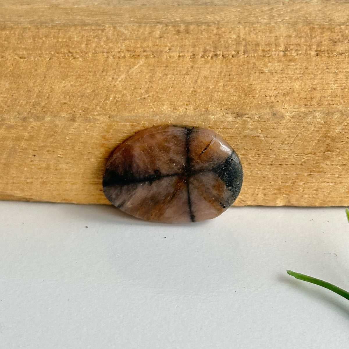 Chiastolite Pce 5.77g