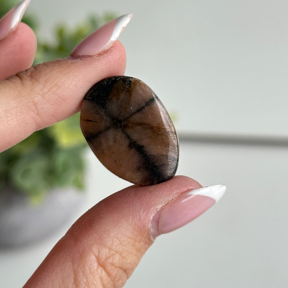 Chiastolite Pce 5.77g
