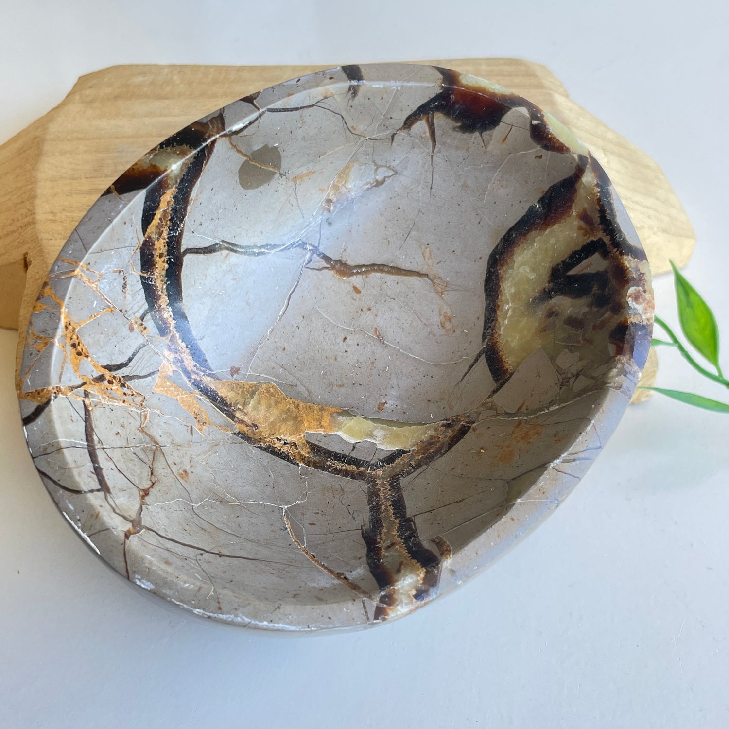 Septarian Bowl 4
