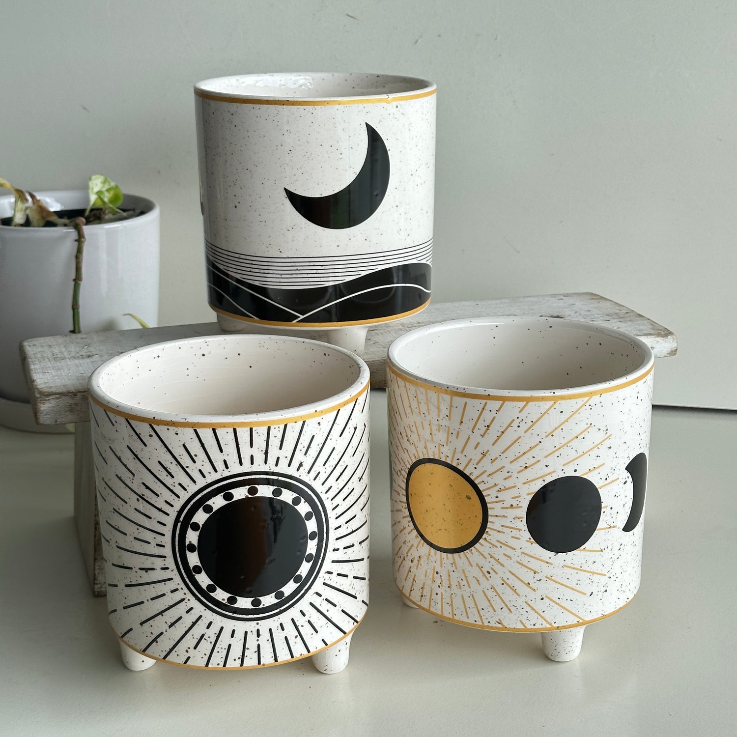 Cream Round Pot POTWICCA