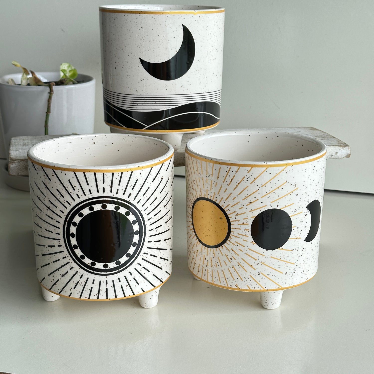 Cream Round Pot POTWICCA