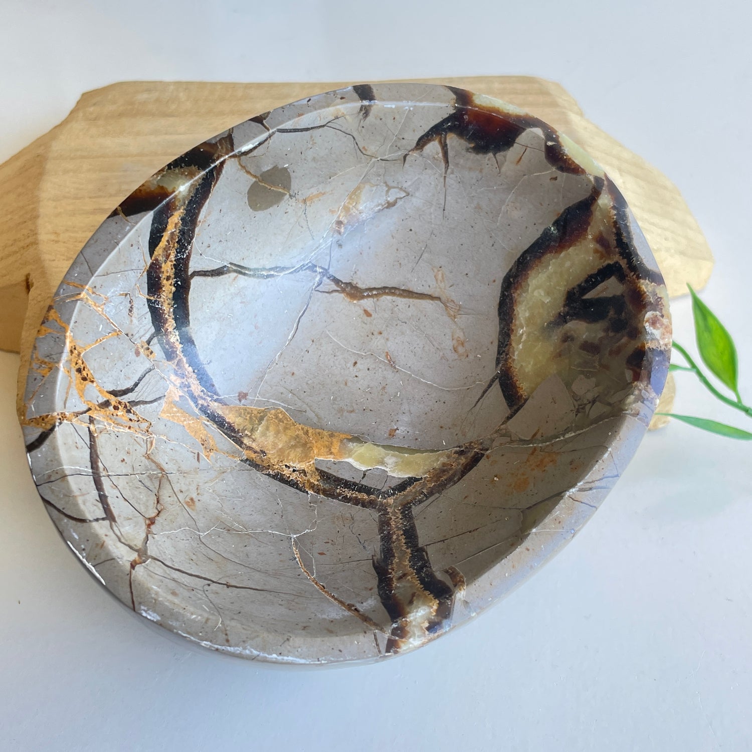 Septarian Bowl 4