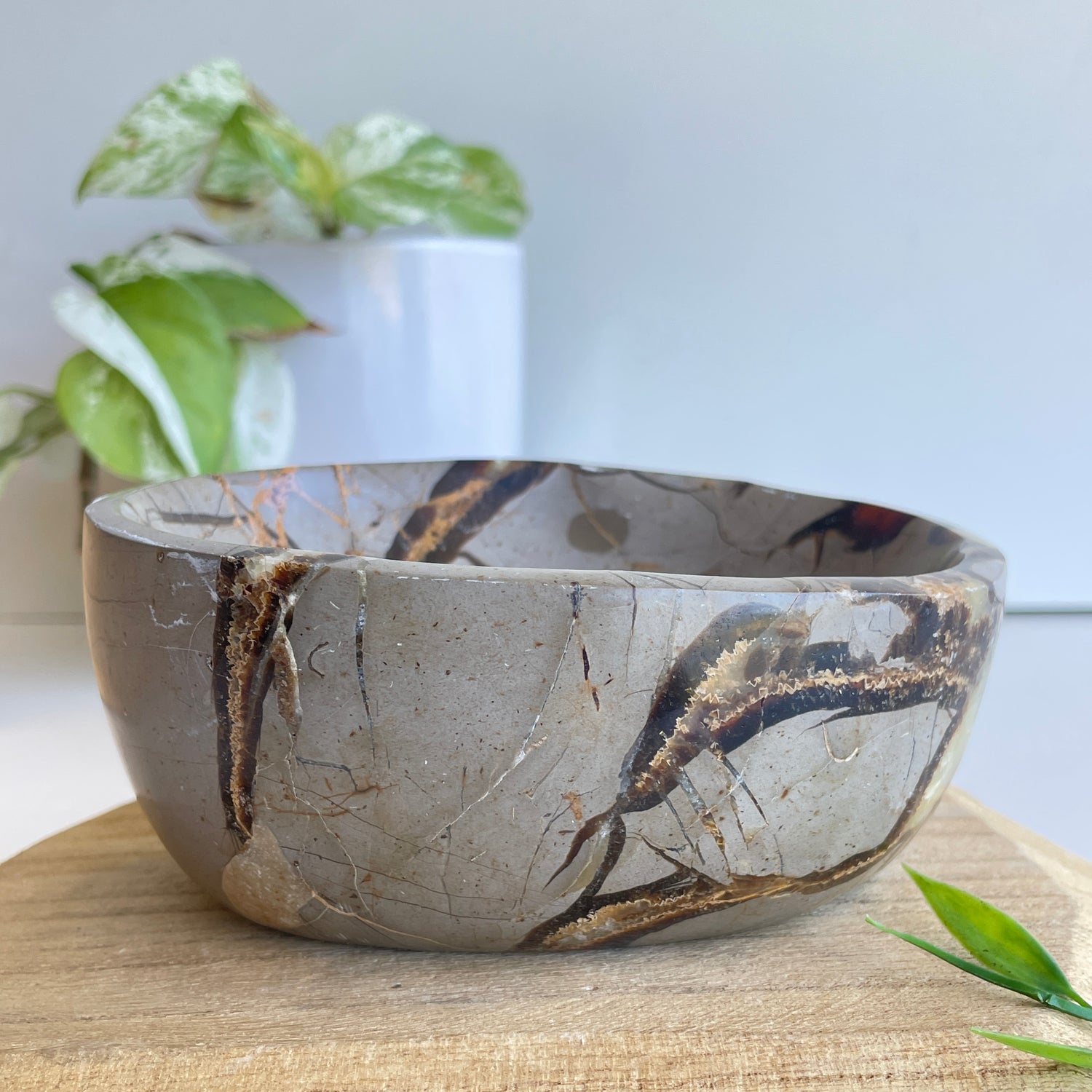 Septarian Bowl 4