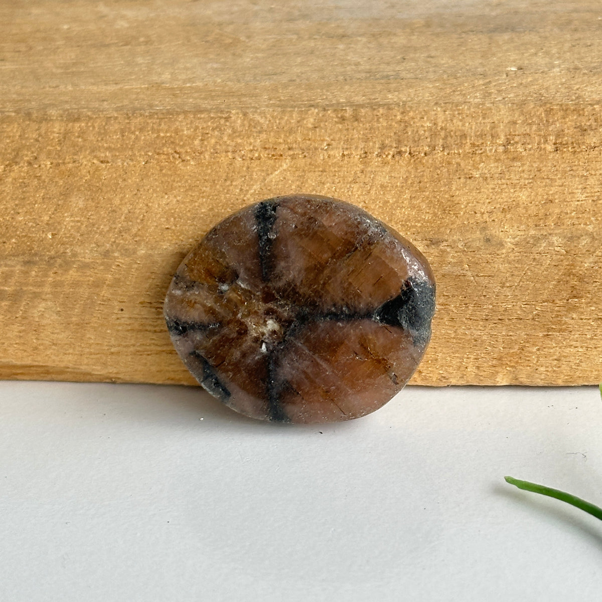 Chiastolite Pce 14.01g