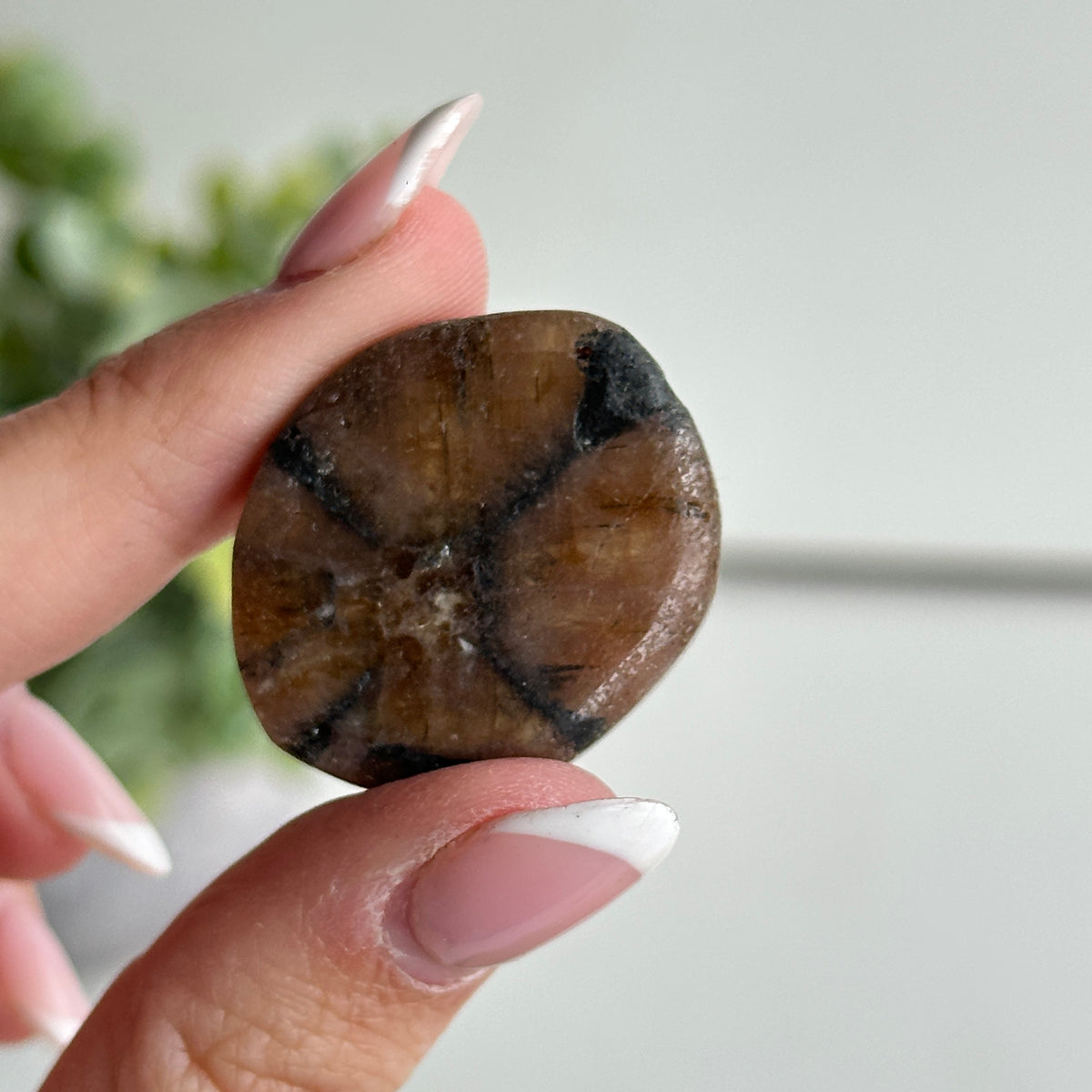 Chiastolite Pce 14.01g