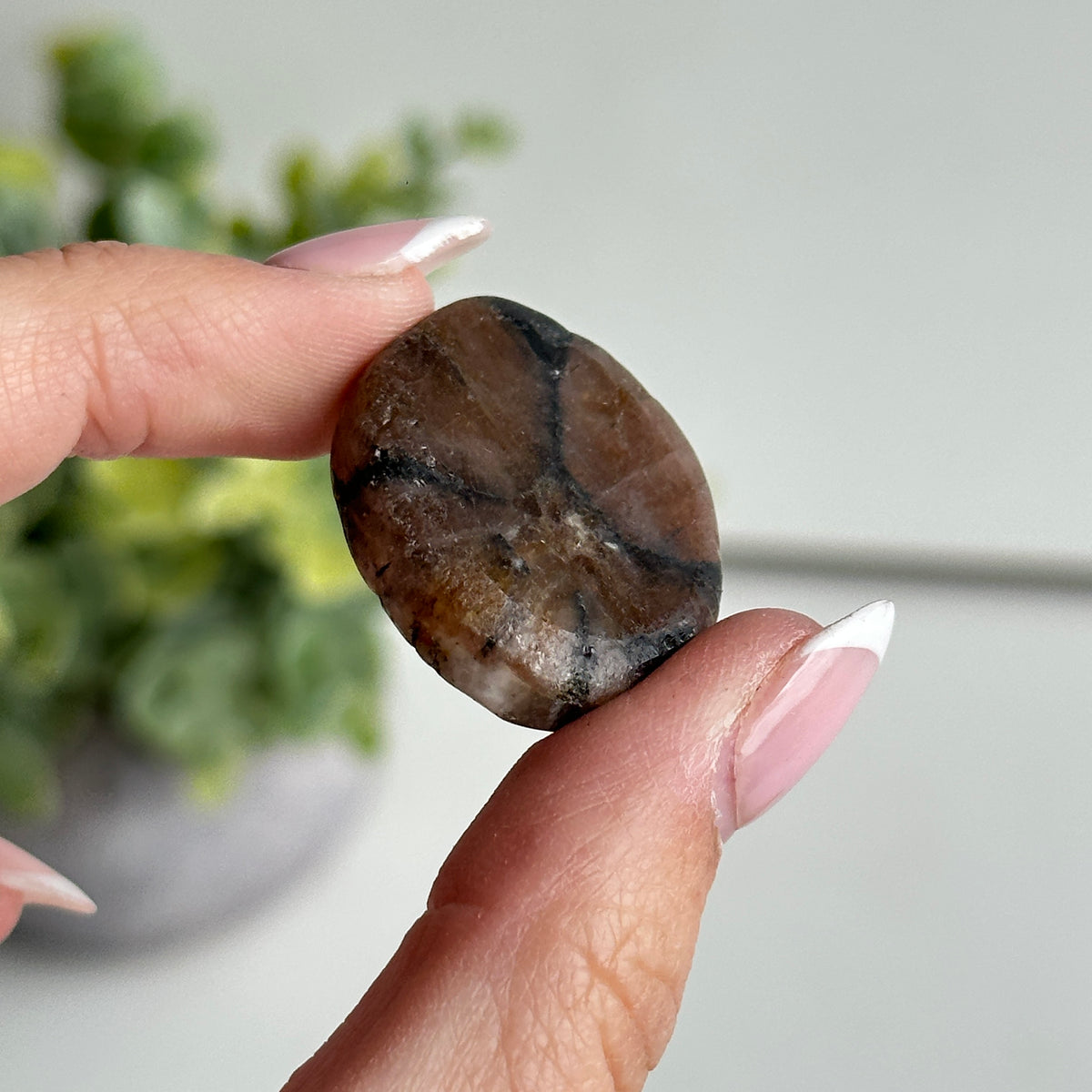 Chiastolite Pce 14.01g