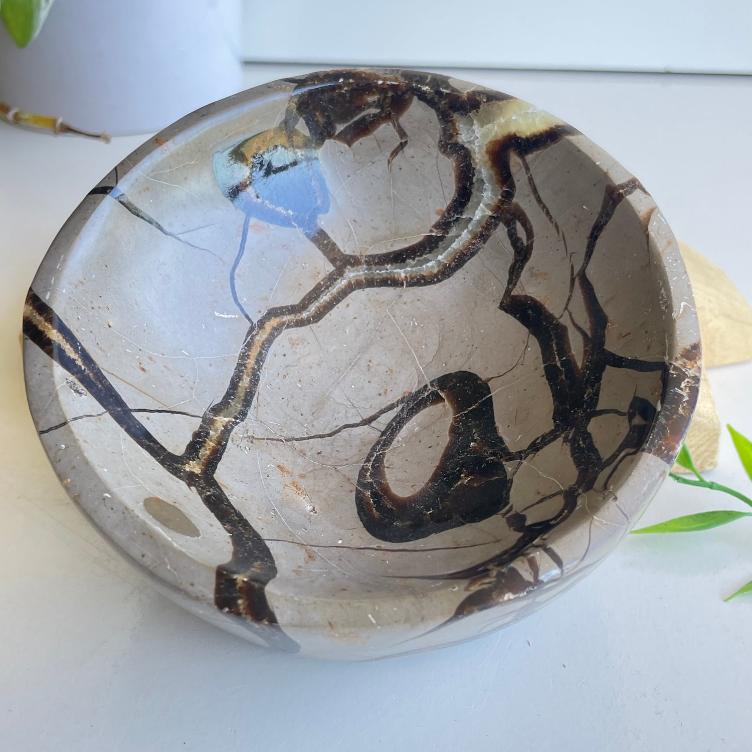 Septarian Bowl 3