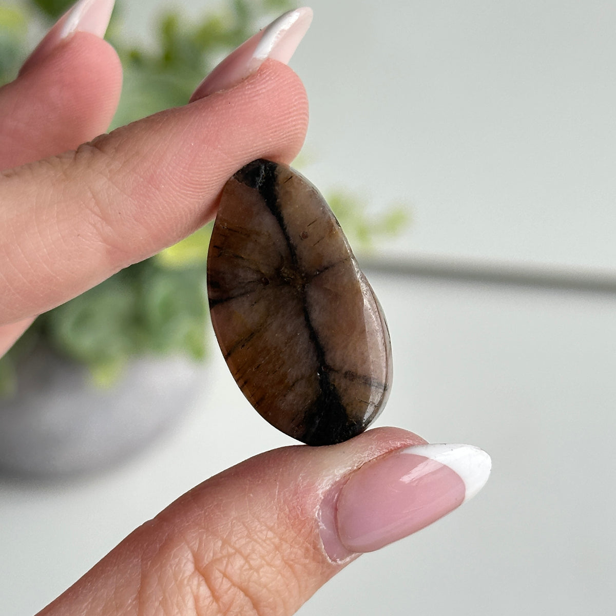 Chiastolite Pce 7.70g