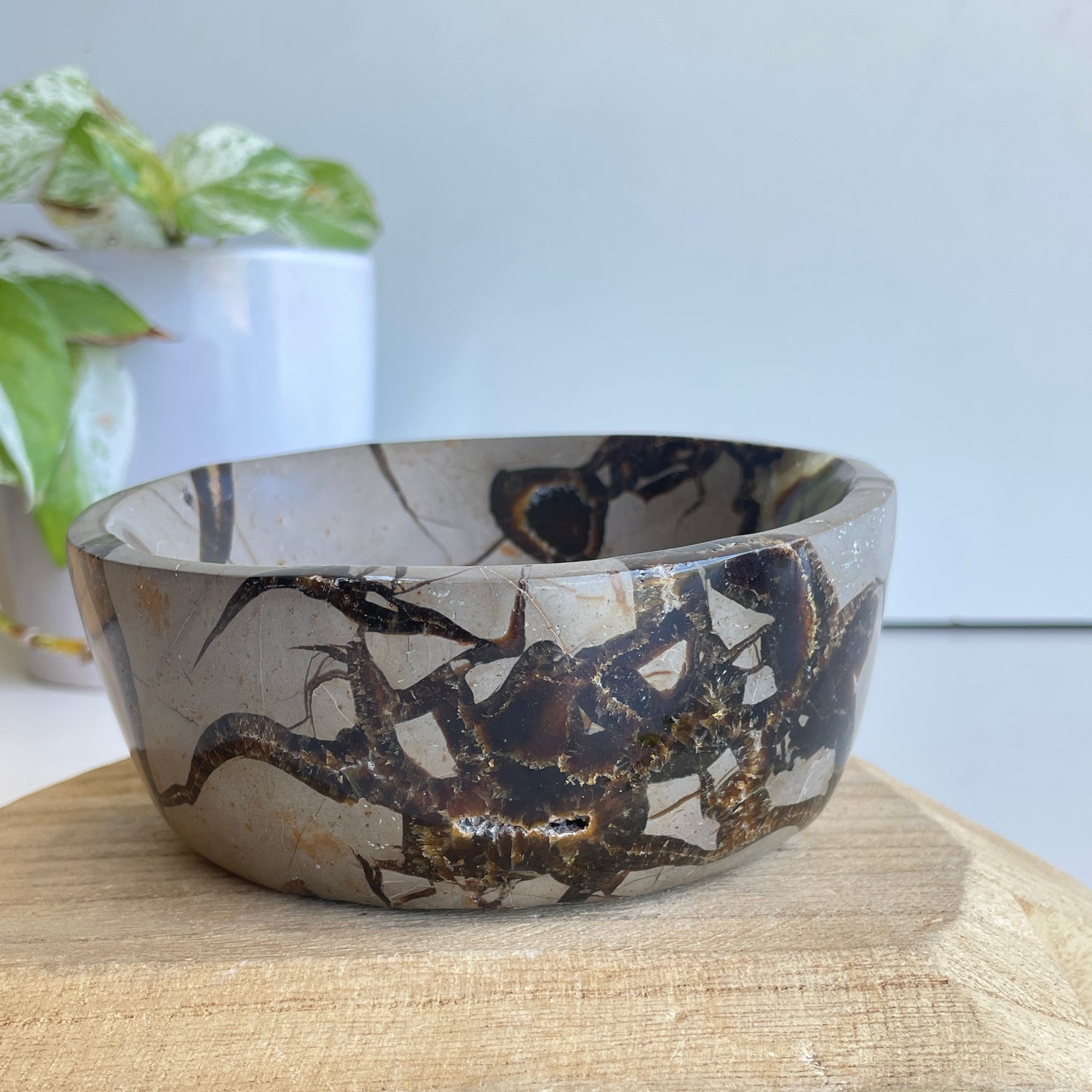 Septarian Bowl 3