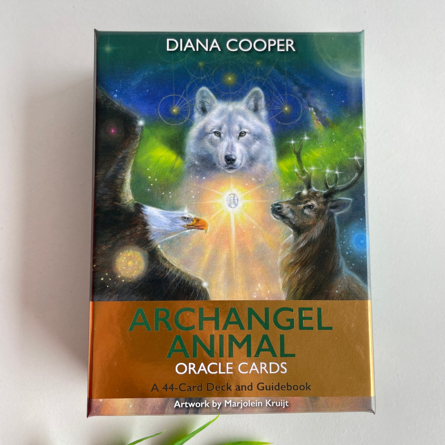 Archangel Animal Oracle Cards Diana Cooper