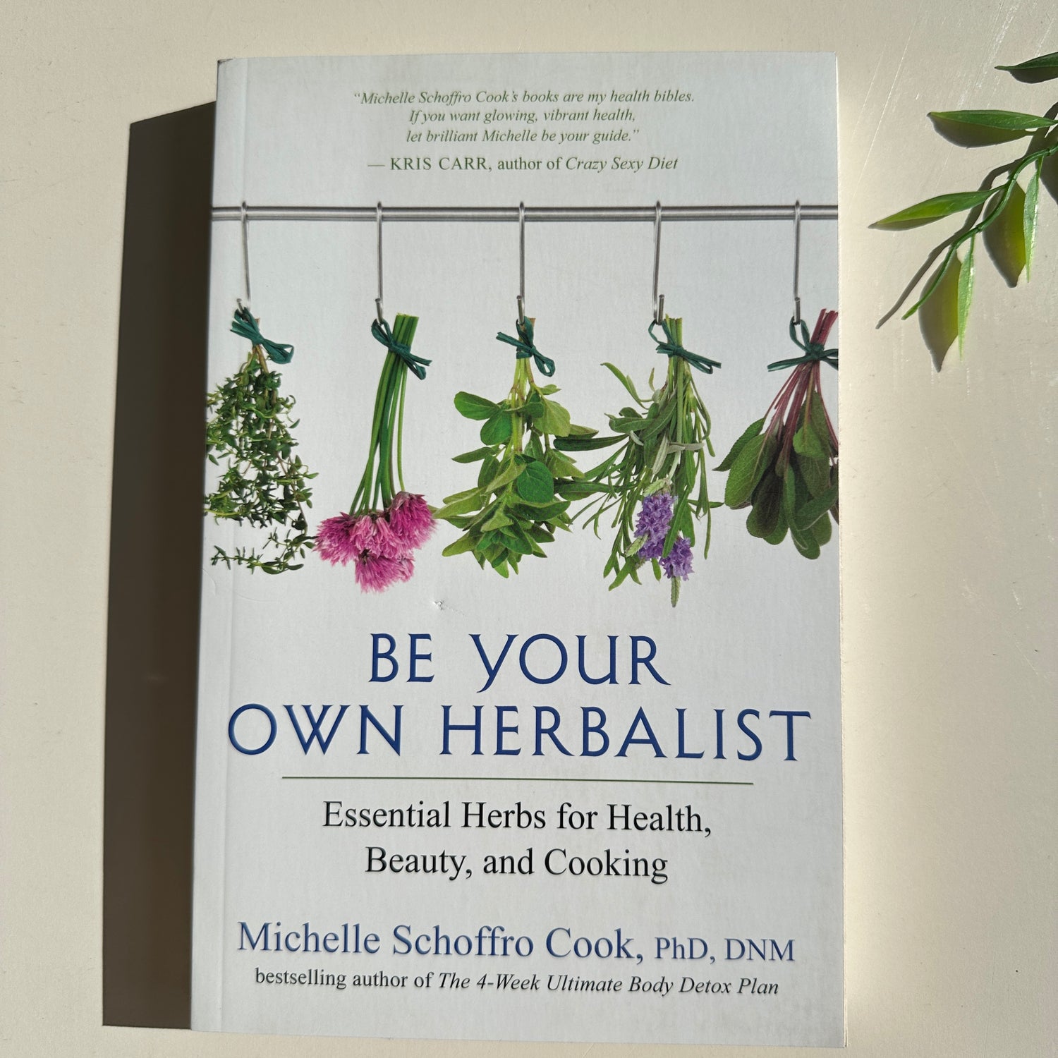 Be Your Own Herbalist Michelle Schoffro Cook