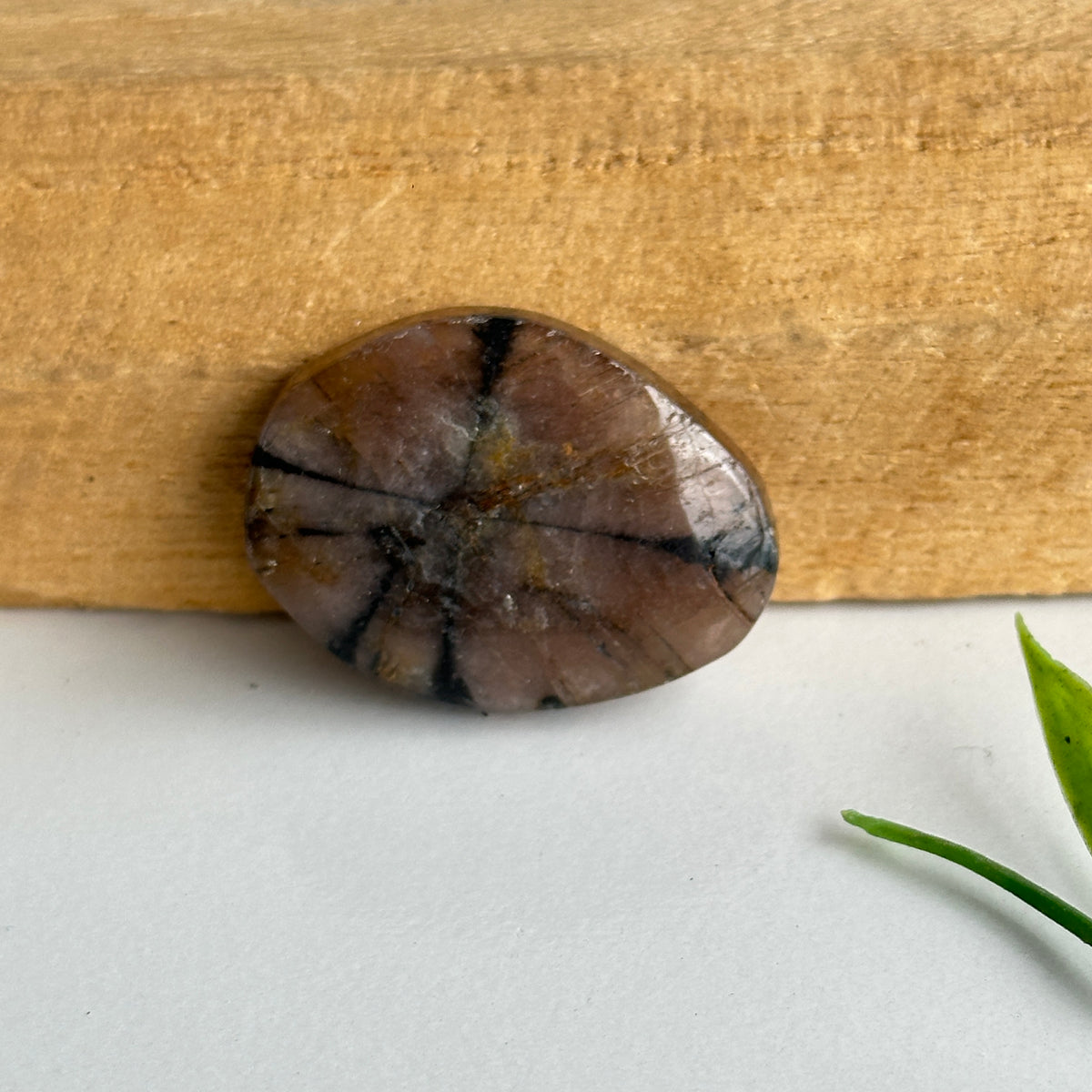 Chiastolite Pce 12.73g