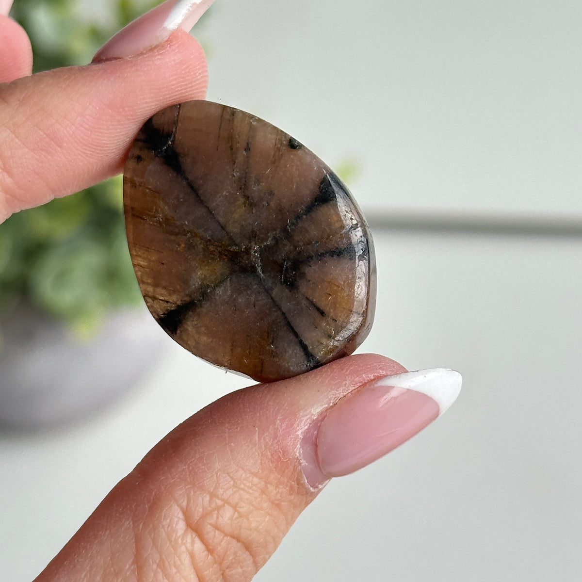 Chiastolite Pce 12.73g