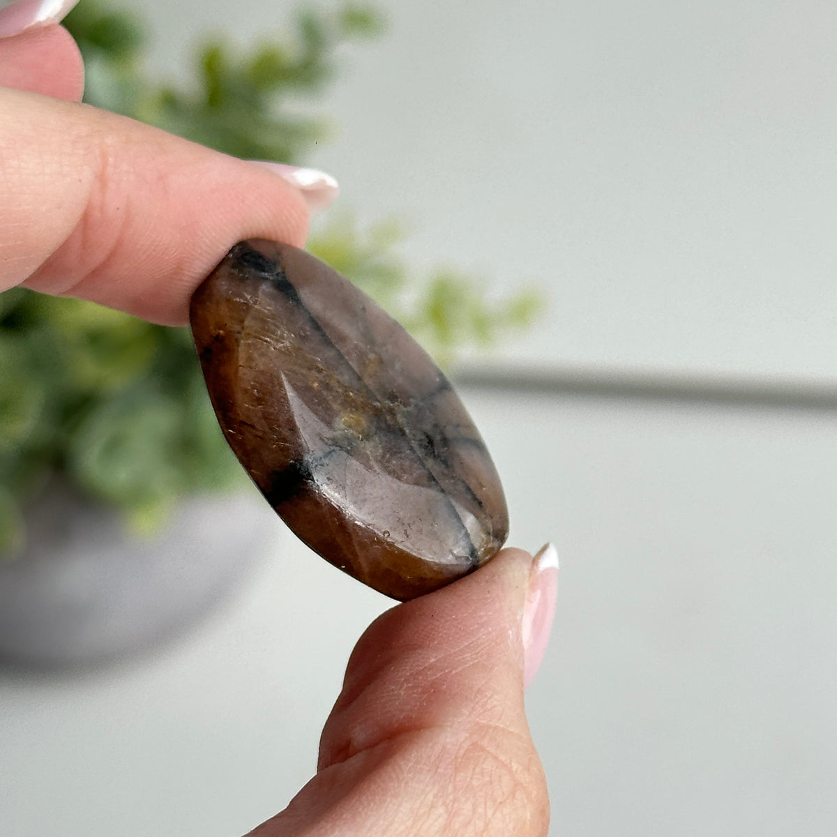 Chiastolite Pce 12.73g