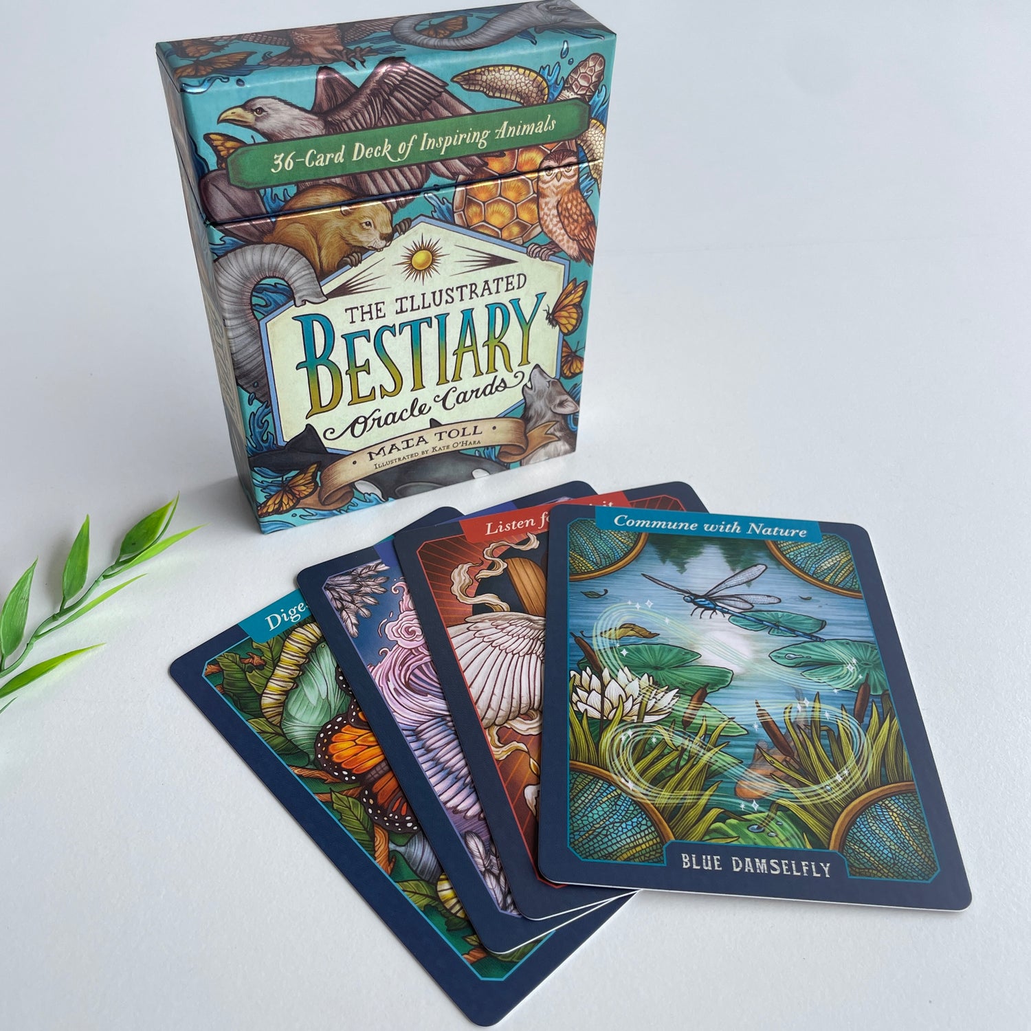 The Illustrated Bestiary Oracle Cards Mata Toll