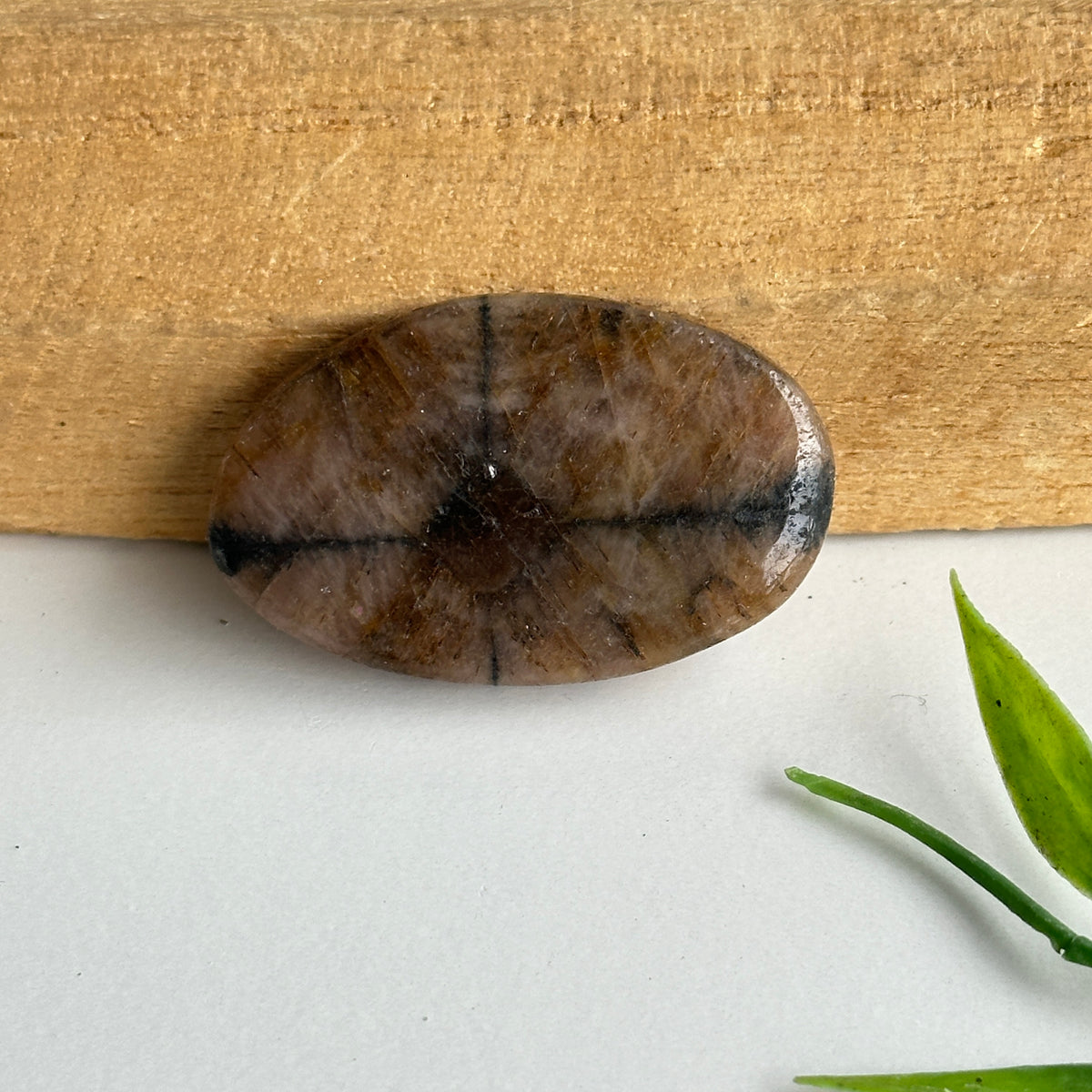 Chiastolite Pce 13.69g
