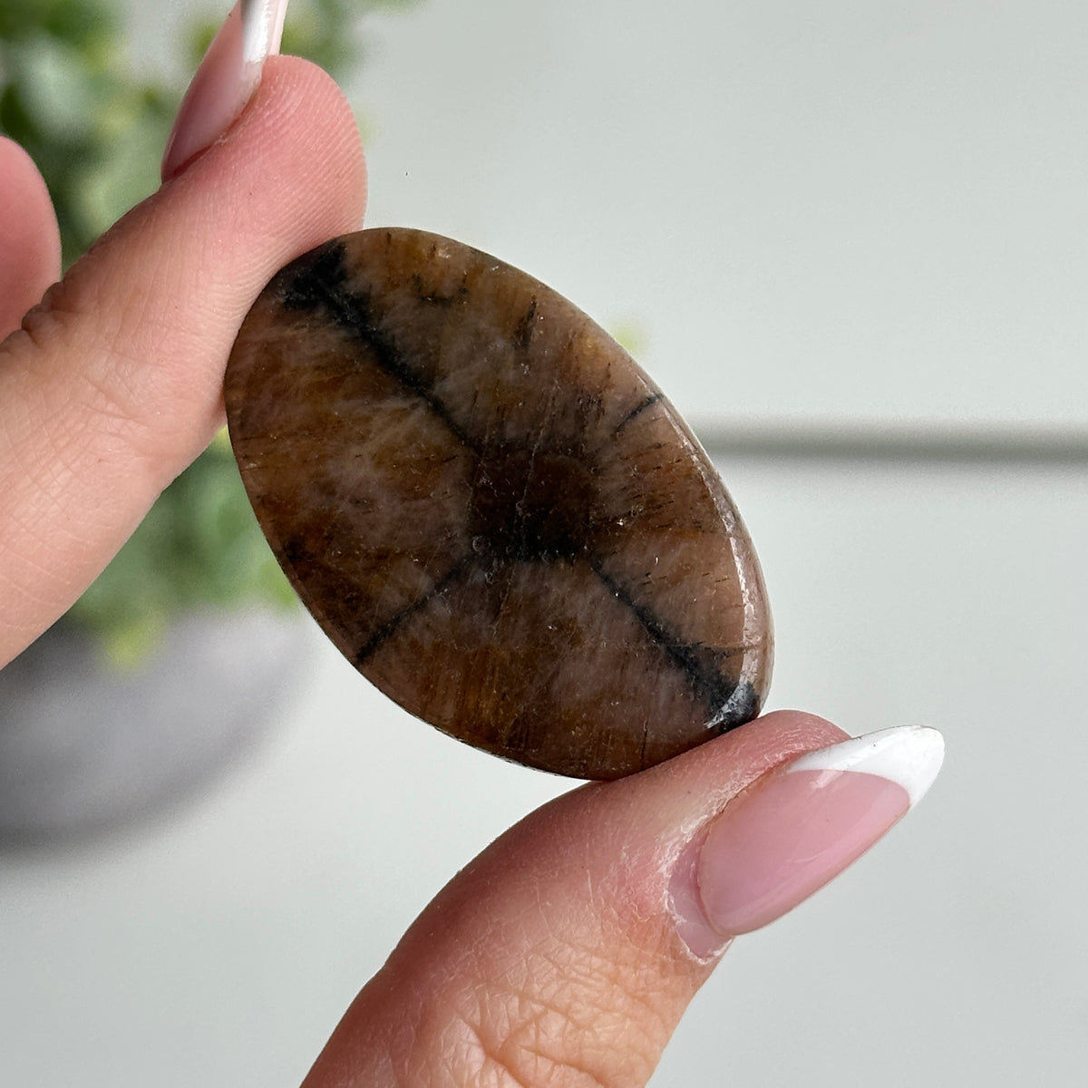 Chiastolite Pce 13.69g