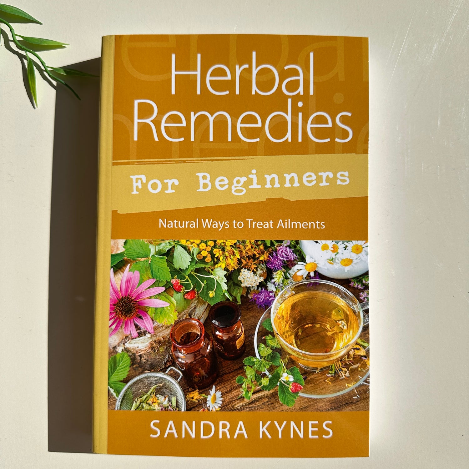 Herbal Remedies For Beginners Sandra Kynes