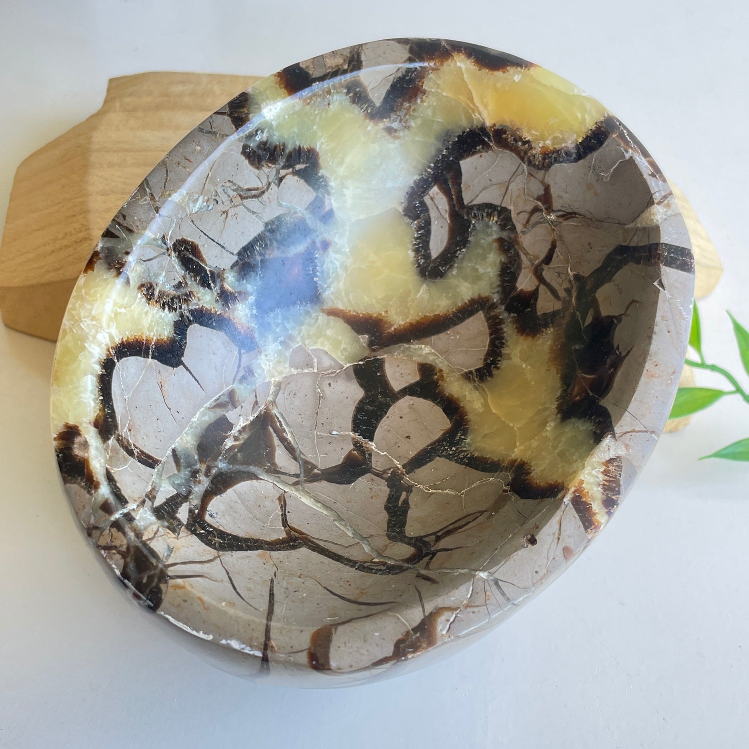 Septarian Bowl 2
