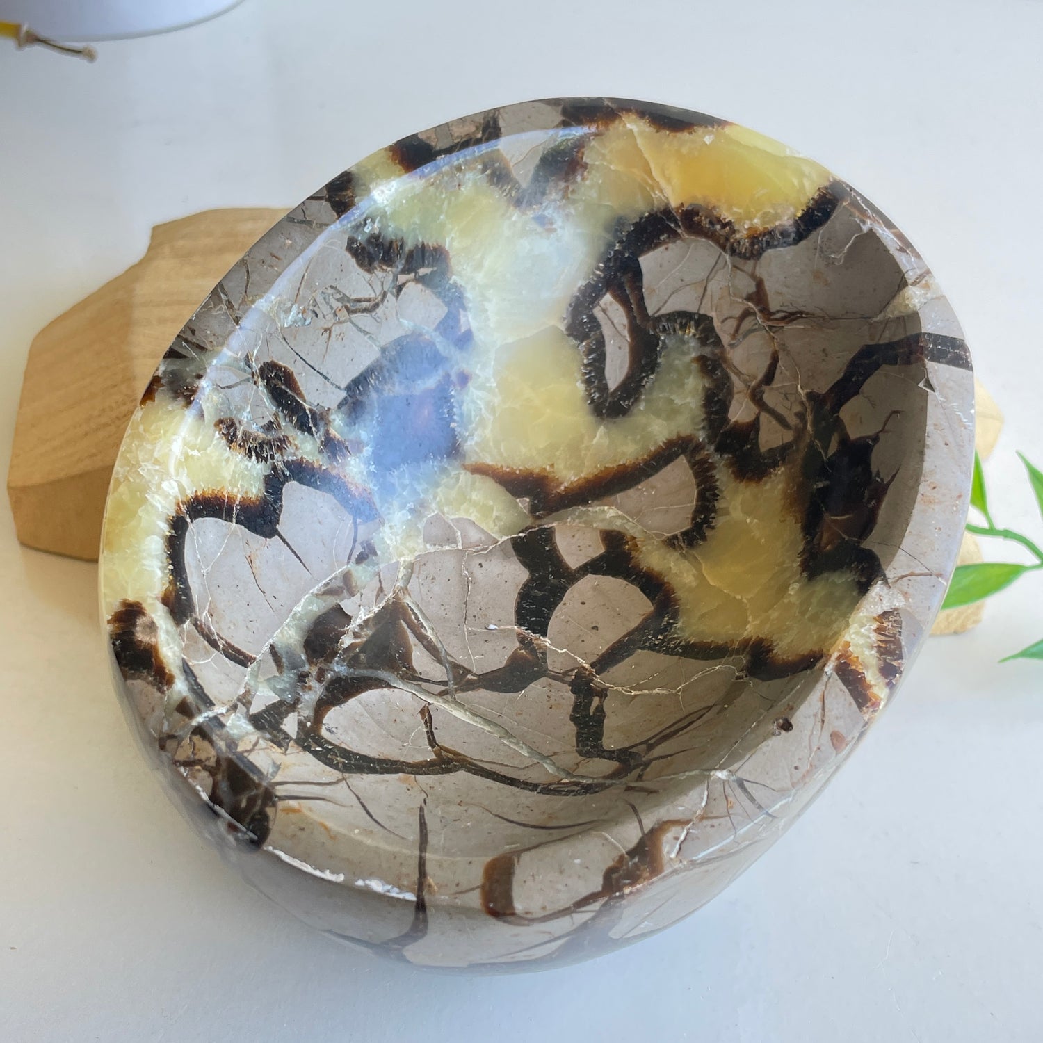 Septarian Bowl 2