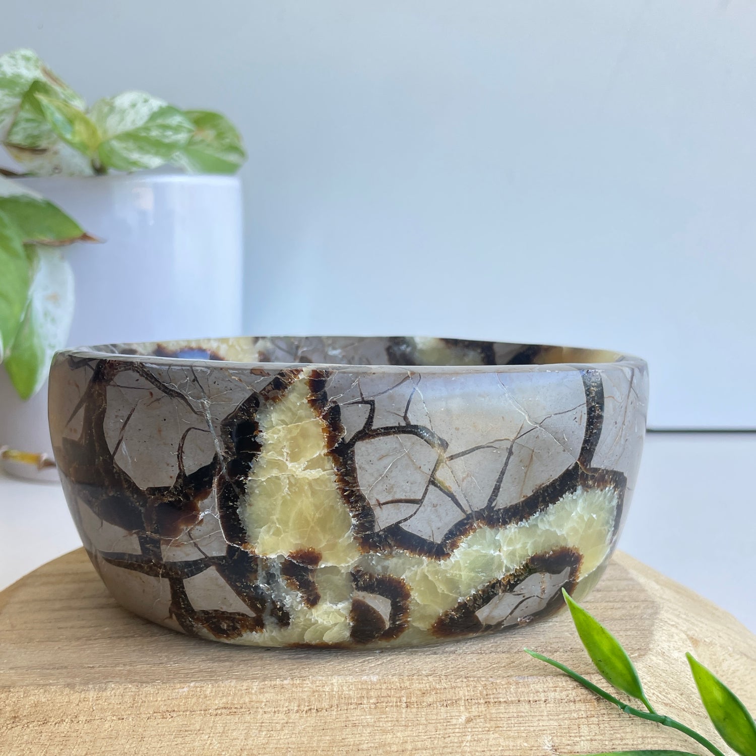 Septarian Bowl 2