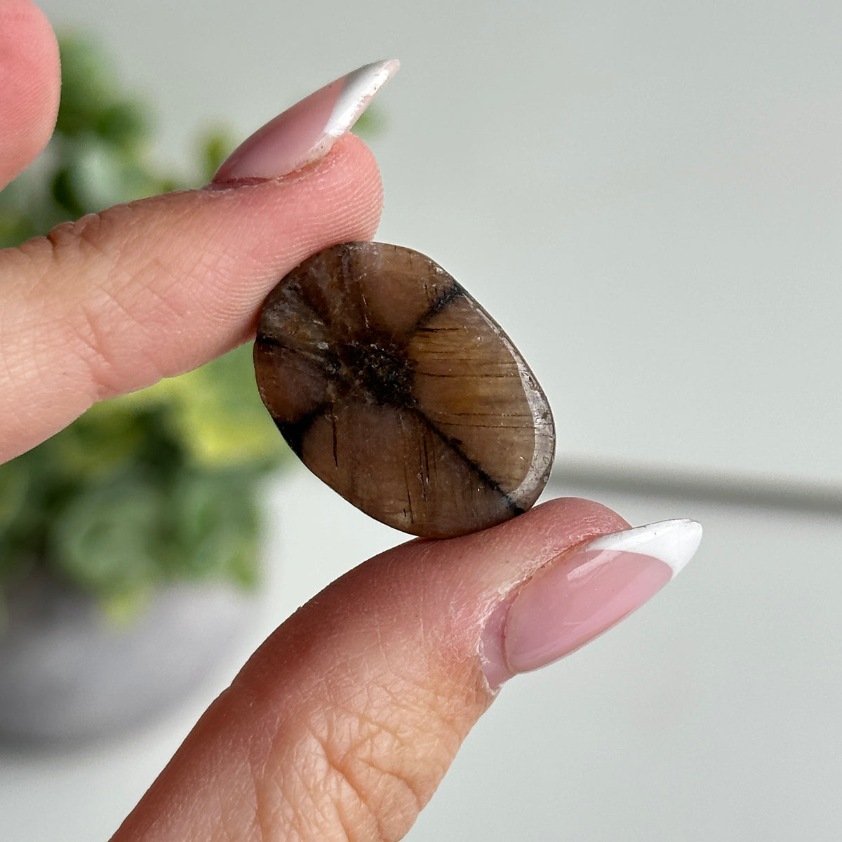 Chiastolite Pce 5.86g