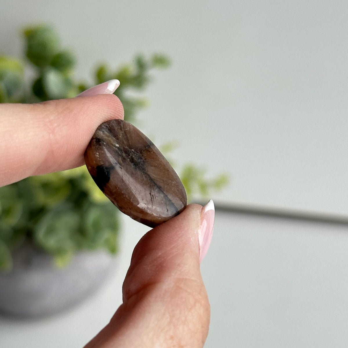 Chiastolite Pce 5.86g