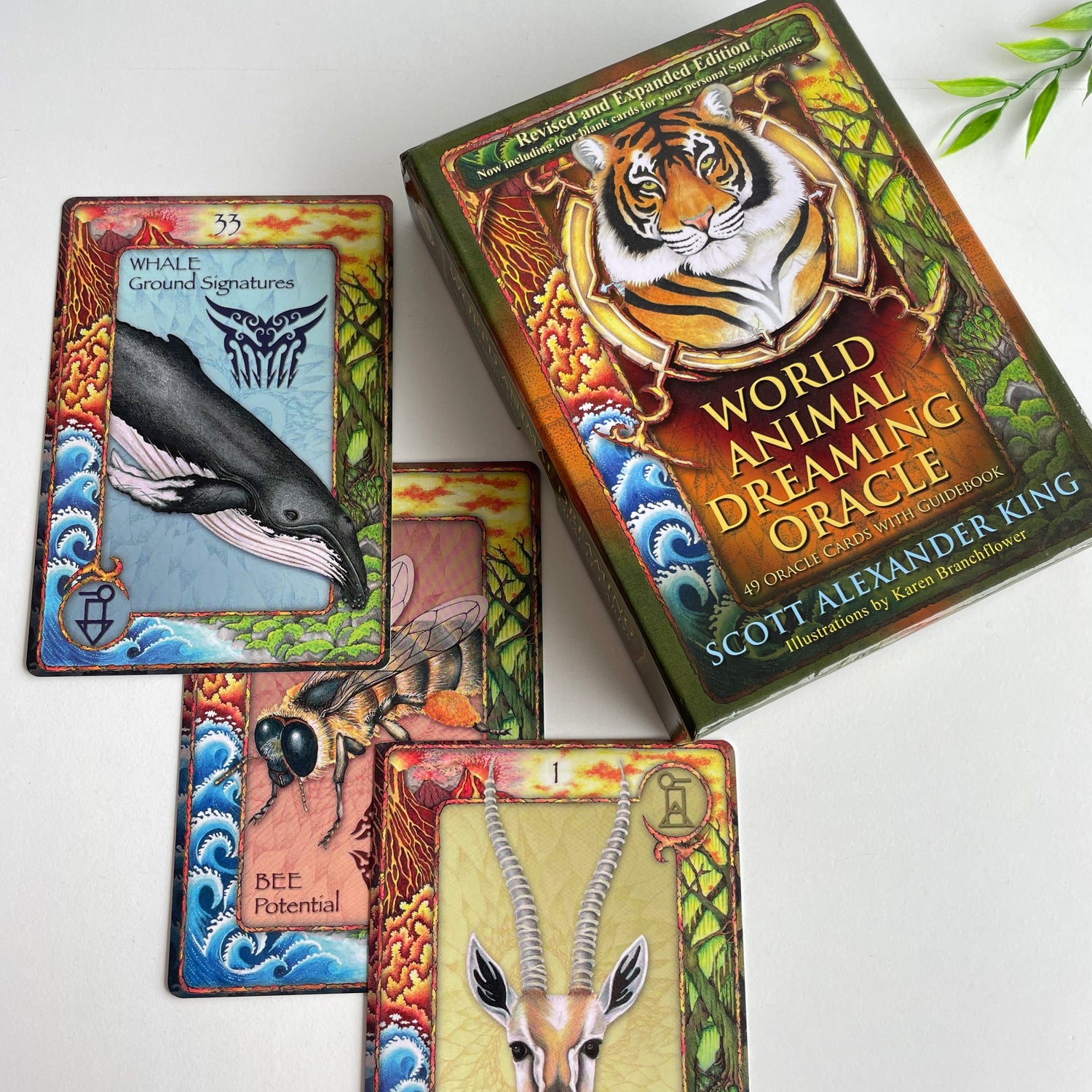 World Animal Dreaming Oracle Cards New Edition