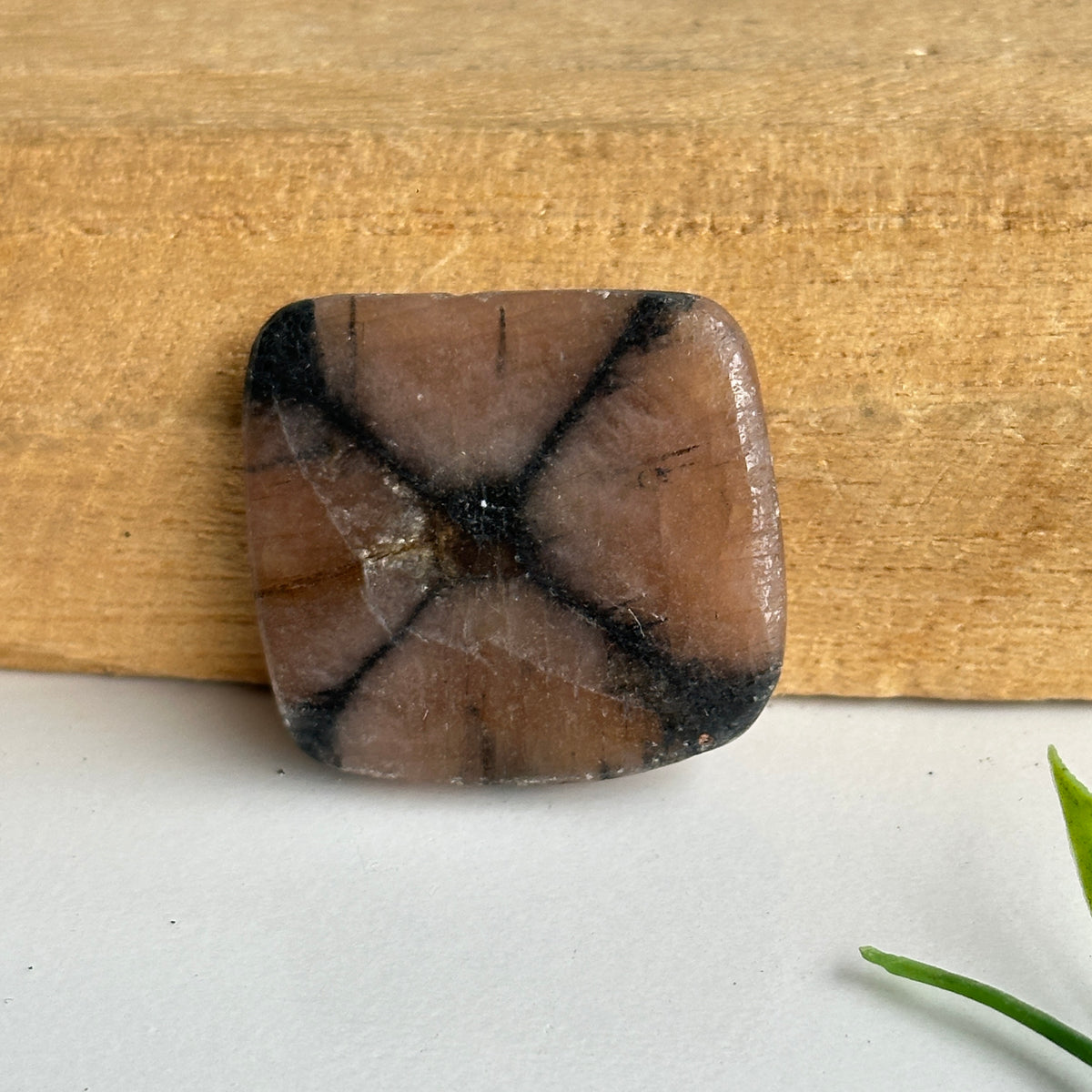 Chiastolite Pce 13.79g